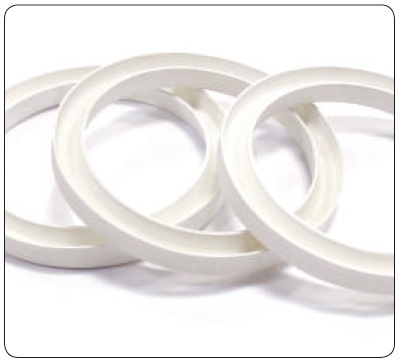 Kolbendichtungen aus FDA-zugelassenem SKF Ecorubber-3 (EPDM)